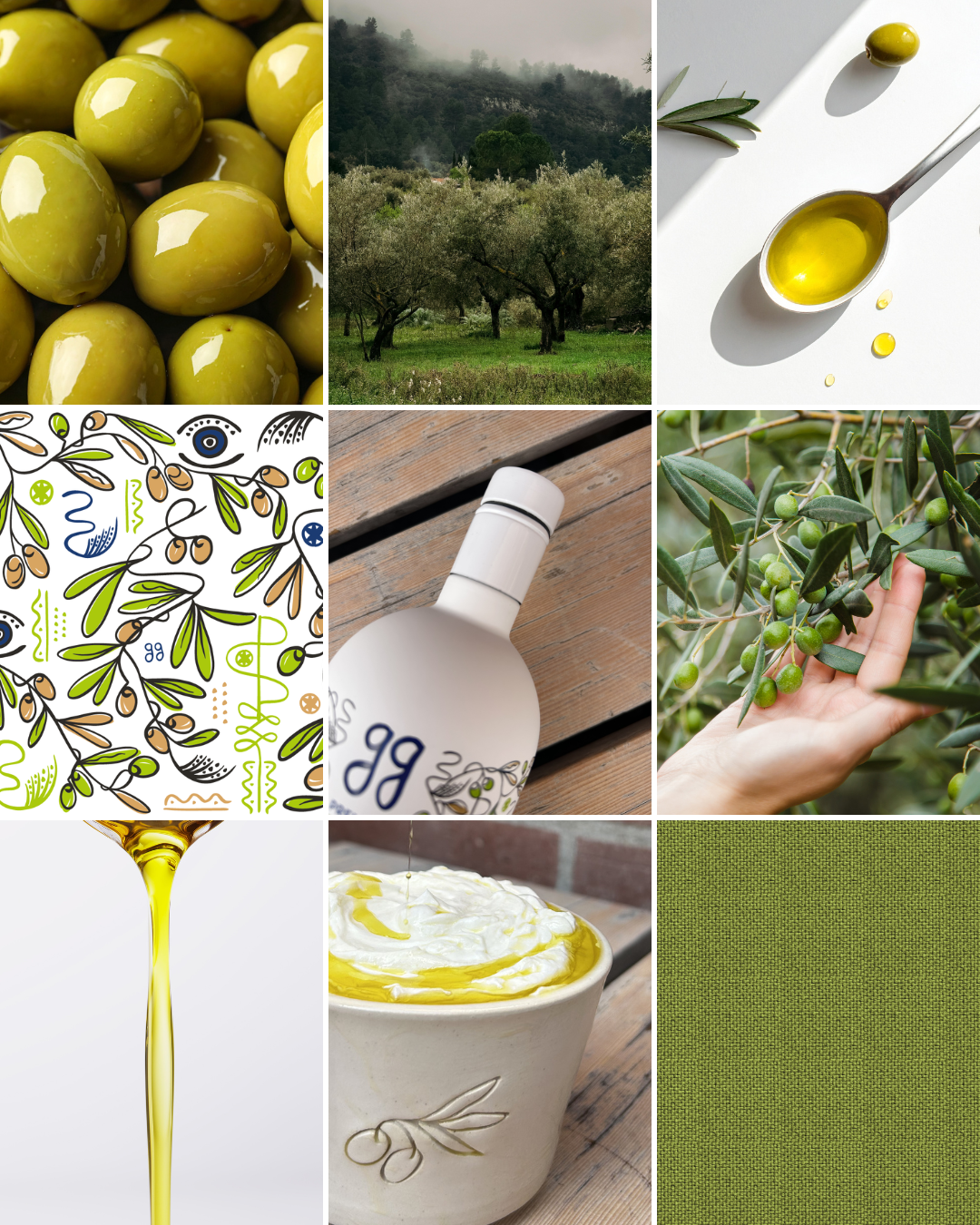 GG Premium Olive Oil